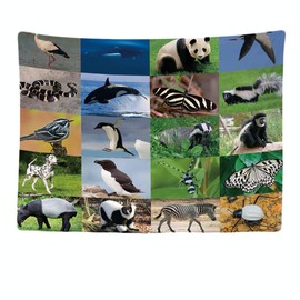 Ulticool - Appeso a Parete Home Decor - Animals Bedroom Children - 200 x 150 cm Large - Wall Tapestry Carpet Murals - Decorative Tapestries for Bedroom Living Room