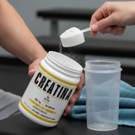 Creatina Monohidratada Micronizada Sd 1kg Alta Pureza