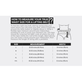 Advanced Dip Belt V2 – Heavy-Duty Weighted Belt with Reinforced Back, Chain & Nylon Strap – 3-Point Anchor D-Rings for Dips, Pull-Ups, Squats & More (XX-Large)