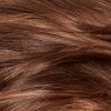 Revlon Hair Color - 46 Medium Golden Chestnut Brown