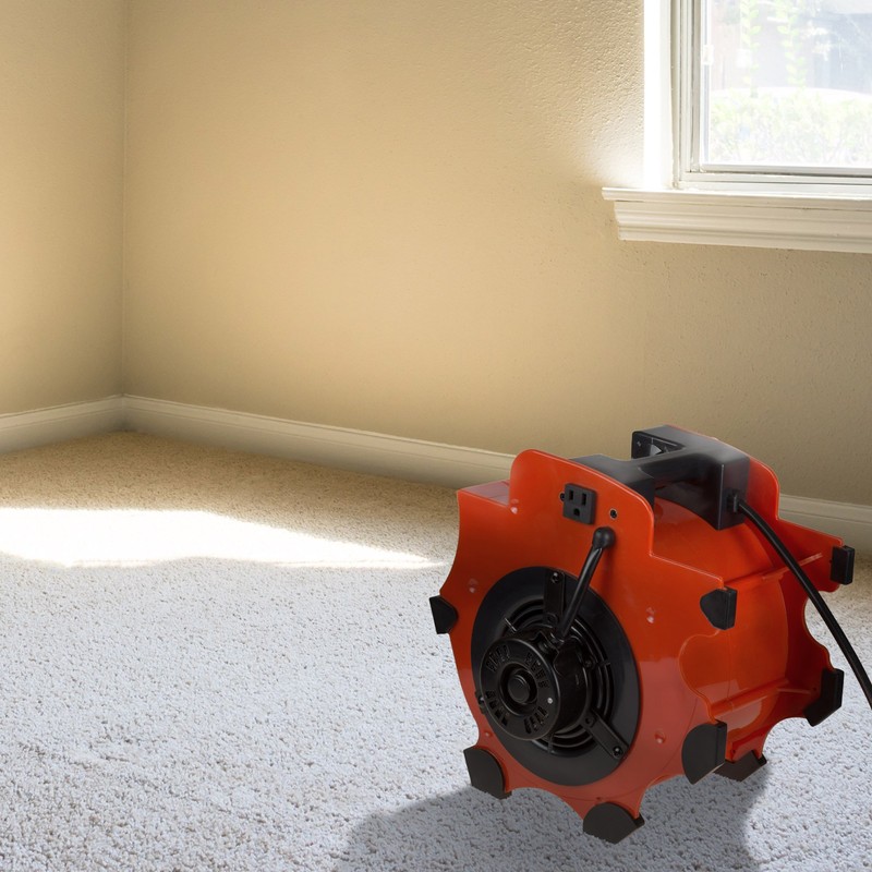 Blower Fan - 3-Speed Heavy-Duty Floor and Carpet Dryer -