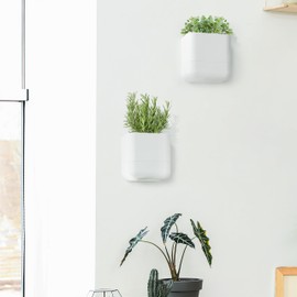 Phoenix Vine 6.5-Inch Wall Mounted Self-Watering Planter Pot for Indoor Houseplants and Herbs | Modern Hanging Planter for Window Sills, Bathroom Walls, Home & Office Décor, White, Set of 2, 01-WP-W-2