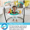 Fisher-Price Baby Bouncer Pink Petals Jumperoo Musical Activity Center with