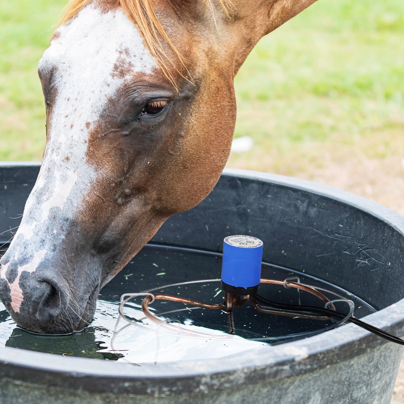 Tank De-Icer, Submersible, Thermostat Control, 1500-Watt