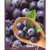 Blueberry Vibrant Chungbuk Practical Immune Fatigue Recovery Food 1000g 1 unit, 1kg / 블루베리 생생 충북 실속형 면역 피로회복 식품 1000g 1개, 1kg