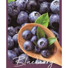 Blueberry Vibrant Chungbuk Practical Immune Fatigue Recovery Food 1000g 1 unit, 1kg / 블루베리 생생 충북 실속형 면역 피로회복 식품 1000g 1개, 1kg