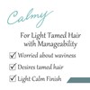 Hoyu Professional Pro Master Color Care Karmy Treatment 7.1 oz