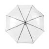 Clear Automatic Foldable Umbrella 8 Ribs 3 Folding Black Edging