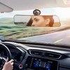 12" Large Convex Rear View Mirror, Suction Cup Anti-Glare Blue