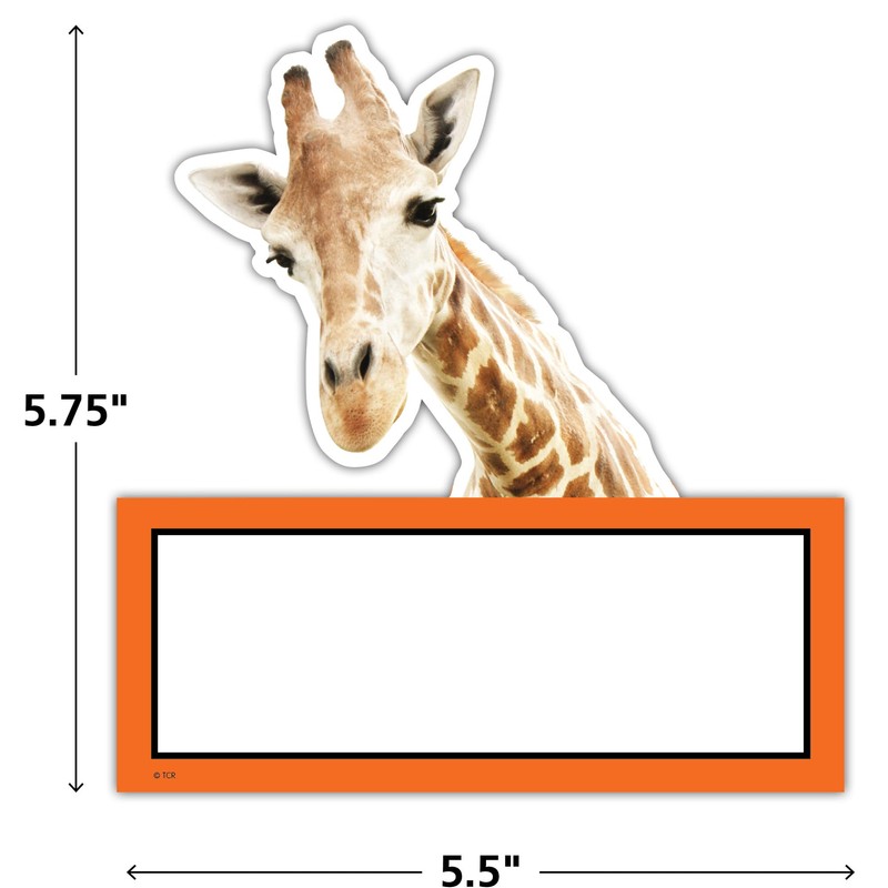 Teacher Created Resources Go Wild Animals Accents