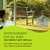 Nature Gear Acrylic Clear Bird Feeders for Window Viewing, Weather