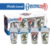 ICUP Grateful Dead Retro Pint Glass Set 4 Pack (terrapin,