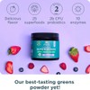 Ancient Nutrition SuperGreens Powder with Probiotics, Organic Berry Flavor Greens,