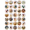 SET OF 35 KNOBS - Chickens Hens Roosters Chicks -