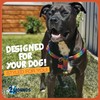 2 Hounds Design - Freedom No-Pull Harness & Training Leash