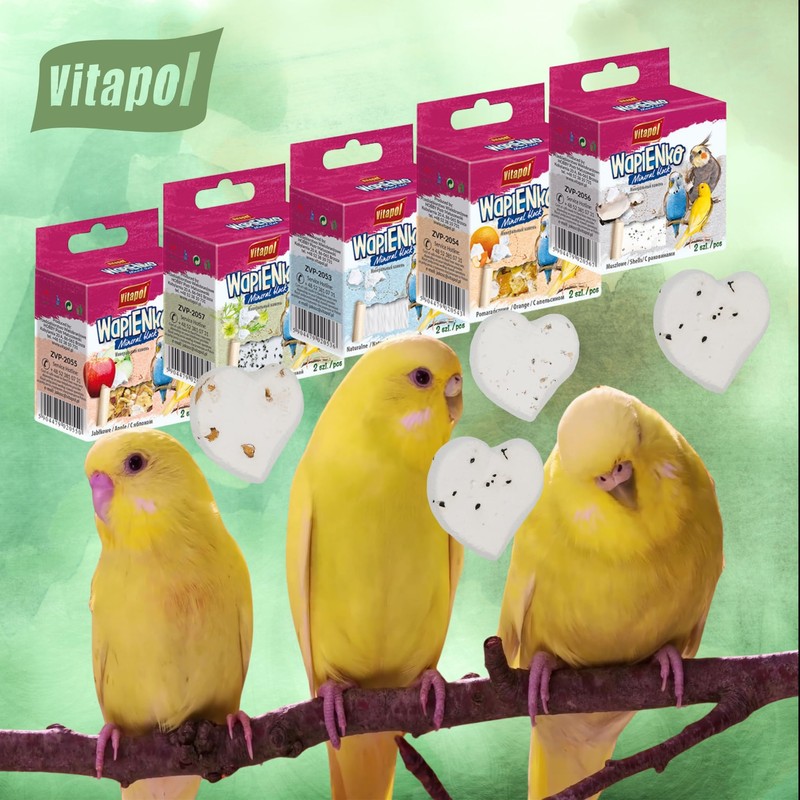 Vitapol Wapienko Bird Calcium Block – Natural Supplement for Beak