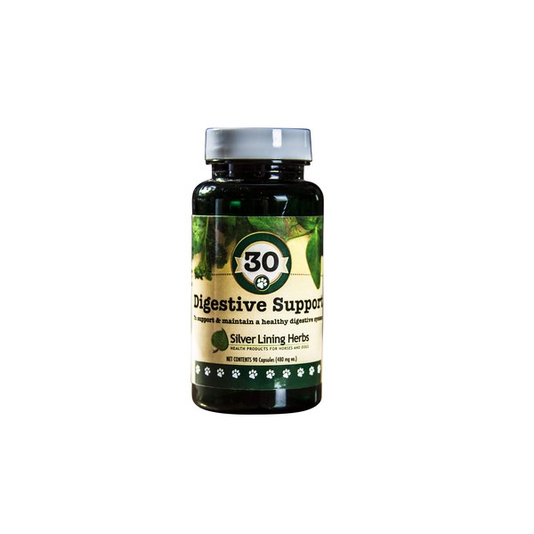 Silver Lining Herbs Silver Lining Herbs 30 Canine Digestive Support