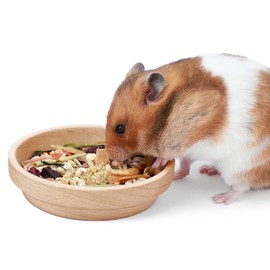 Niteangel Wooden Hamster Feeding Bowl: - Small Animal Food Dish for Dwarf Syrian Hamsters Gerbils Mice Degus or Other Similar-Sized Small Pets (No Pattern, for Syrian)