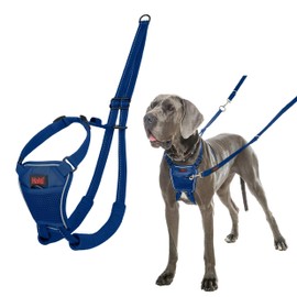 HALTI No Pull Harness - To Stop Your Dog Pulling on the Leash. Adjustable, Lightweight and Easy to Use. Reflective Dog Training Harness for Large Dogs (Size L, Cobalt Blue)