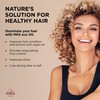 Earthly Body MKS-ECO Oil Hair Styling Elixer High Tide 2