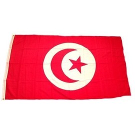 Fahne/Flagge Tunesien NEU 90 x 150 cm Flaggen