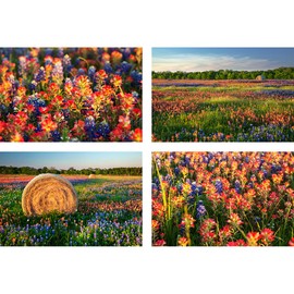 Texas Wildflowers Print Set, Wildflower Fields of Ennis, Texas Bluebonnets & Indian Paintbrush Photography Wall Art Set, Texas Home Decor, 5x7 to 16x24