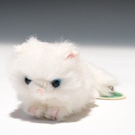 Bubble Locations Violinist (A) Crawling Persian Cat