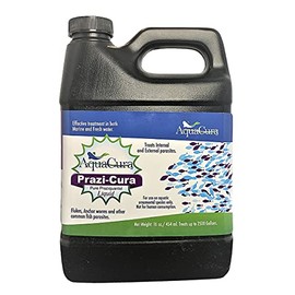 Prazi-Cura Liquid - Safest, Most Effective Parasite Treatment for Koi, and Aquarium Fish! Treats up to 2500 gallons.