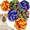 Large Dog Chew Toys for Aggressive Chewers, 6 Pack Almost