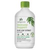 Wellgrove Buy Wellgrove Immune Support Olive Leaf Extract Green Apple 250ml Online | Chempro Chemists