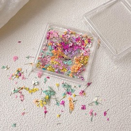 ASDIIT 3D Dried Flowers for Nails Charms, Small Dried Flowers for Resin, Spring Floral Nail Stickers, Cute 3D Nail Art Decorations for Women