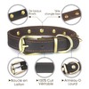 Qianruida Studded Leather Collar for Dogs, Adjustable Anti-Biting Individuality Collar,