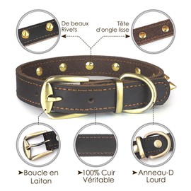 Qianruida Studded Leather Collar for Dogs, Adjustable Anti-Biting Individuality Collar, Studded Collars for Small to Medium Dogs - S