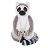 Wild Republic - Cuddlekins - Ring Tailed Lemur - 12