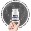 Zinc Con Vitamina C Y Jengibre 500mg - 100 Cáps