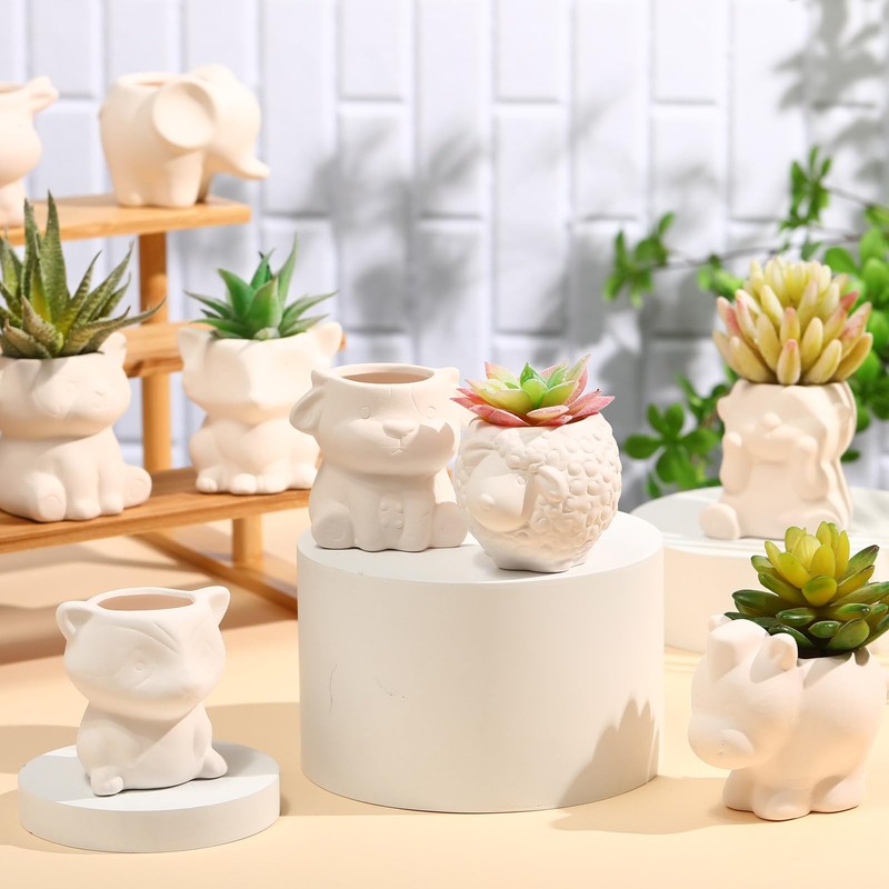 Hushee 12 Sets DIY Ceramic Succulent Pots Ready to Paint