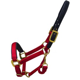 Thornhill Breakaway Padded Halter Purple, Pony
