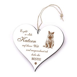 Door Sign with German Text "Es gibt so viele Katzen & ich habe die Beste !" [German Kurzhaar] [German Text] 13 x 12 cm