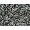 Ernst Grain Black Oil Sunflowers, Non-GMO