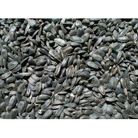 Ernst Grain Black Oil Sunflowers, Non-GMO