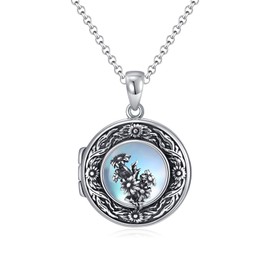 PELOVNY Mother's Day Gifts Birth Flower Locket Necklace for Women That Holds Pictures Sterling Silver Memorial Necklace Locket Jewelry Gifts for Women - April