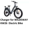 coming data fast 3A battery Charger power adapter For WILDEWAY
