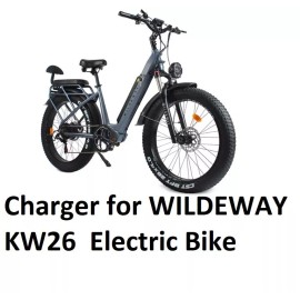 coming data fast 3A battery Charger power adapter For WILDEWAY KW26/ FW11 Electric bike