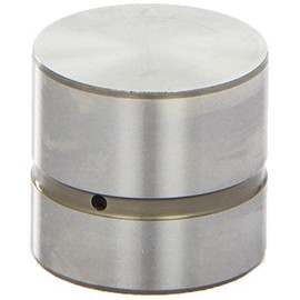 INA 420 0210 10 Ventilstößel