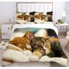 JEFFEL Cat Bedding Set 135 x 200 cm, Animal Motif,