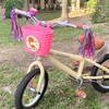 Children's Bicycle Basket, Portable Bicycle Basket, Front Bicycle Basket, Children's