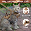 SALFSE Large Tactical Cat Harness Leash, Air Mesh Adult Cat