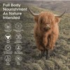 Grass Fed Beef Liver Capsules - 3X Pack, 180 x