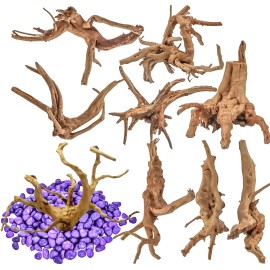 Vmiapxo 8 Pieces Natural Driftwood for Aquarium Decor, Assorted Sinkable Spider Wood, Re