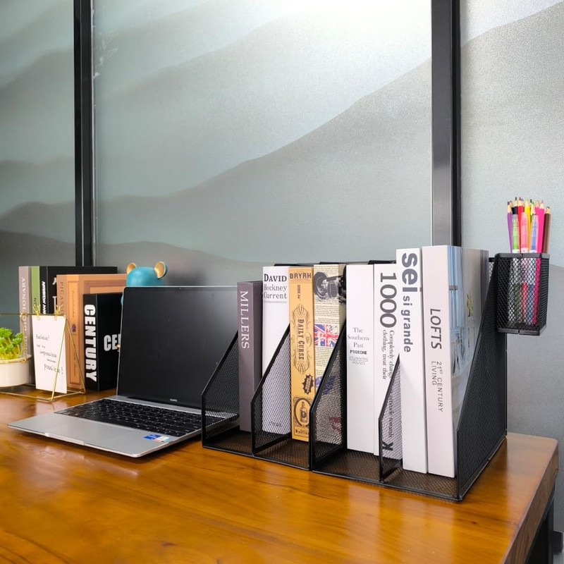 RHONZHAO 2 Set Desk Organizers, Metal Desk Magazine File Holder
